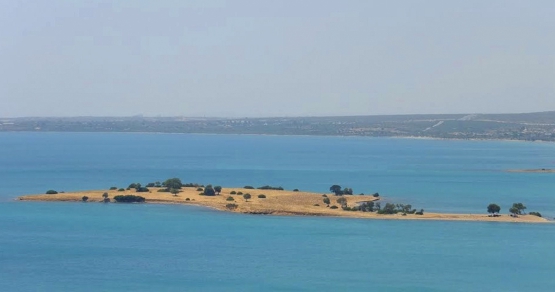 Saplı Adası